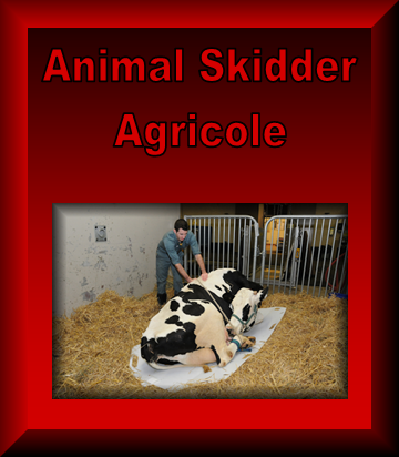 Traineau Animal Skidder XL AG